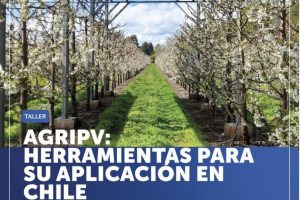 MANUAL PARA EL DESARROLLO DE PROYECTOS AGRIVOLTAICOS EN CHILE