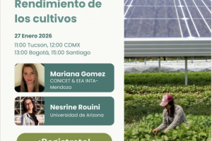🌱 🌻 ¿Cómo Impacta La Agrivoltaica En La Fisiología De Los Cultivos, El Rendimiento Y La Calidad De La Producción?