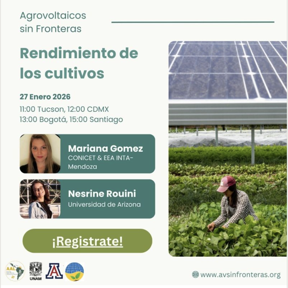 🌱 🌻 ¿Cómo Impacta La Agrivoltaica En La Fisiología De Los Cultivos, El Rendimiento Y La Calidad De La Producción?