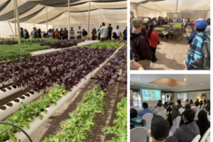 Aeroponía «gana» Terreno En Arica: Así Es La Tecnología Que Busca Producir Alimentos Con Menos Agua